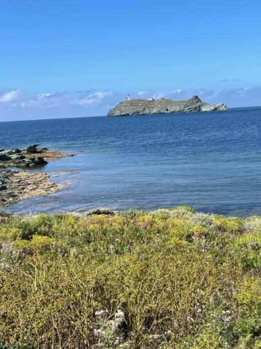 Appartement Tout Confort 2-4 Pers 500 M De La Plage Avec Piscine Et Wifi Santa-Maria-Poggio  Exteriér fotografie