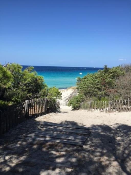Appartement Tout Confort 2-4 Pers 500 M De La Plage Avec Piscine Et Wifi Santa-Maria-Poggio  Exteriér fotografie